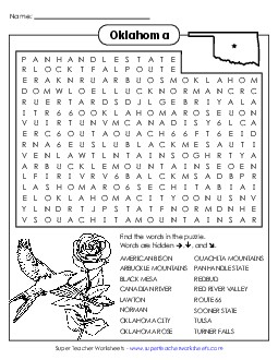 Word Search Puzzle States Individual Worksheet