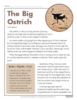 The Big Ostrich (Article) 4th Grade Reading Comprehension Worksheet