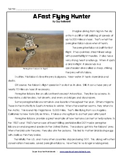 A Fast Flying Hunter: Peregrine Falcon Reading Comprehension Worksheet