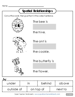 Insects Cut & Glue Spatial Relationships Worksheet