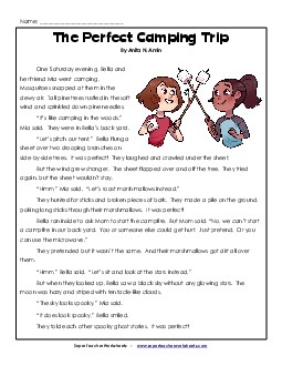 The Perfect Camping Trip  3rd Grade Reading Comprehension Worksheet