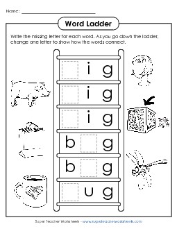 Word Ladder: Final Consonant G Word Ladders Worksheet