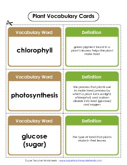 Plant Vocab Cards (Intermediate) Plants Worksheet