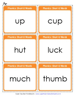 Flashcards (Short U) Phonics Long Short U Worksheet