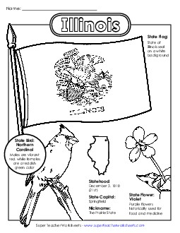 Illinois State Symbols Coloring Page Free States Individual Worksheet