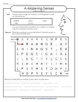 A-Maze-ing Puzzle: Senses (Sharks) A Maze Ing Worksheet