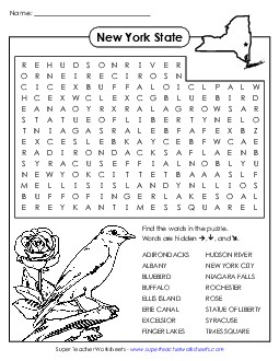 NYS Word Search Puzzle States Individual Worksheet