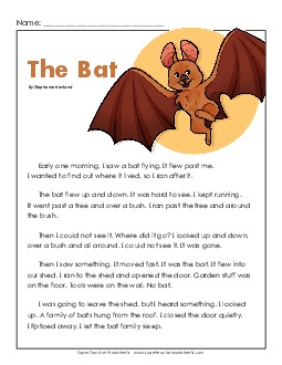 The Bat Reading Comprehension Worksheet