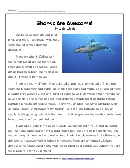 Sharks 4th Grade Reading Comprehension Worksheet