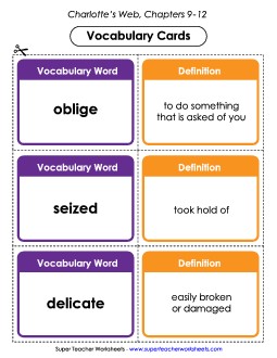 Vocabulary Cards for Chapters 9-12 Books Worksheet