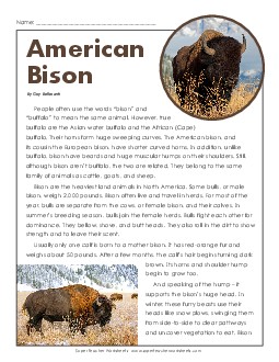 American Bison 5th Grade Reading Comprehension Worksheet