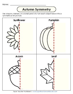 Autumn Symmetry  Worksheet