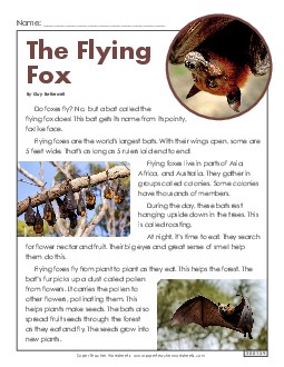 The Flying Fox (Nonfiction) 2nd Grade Reading Comprehension 2nd Grade ELA Worksheet