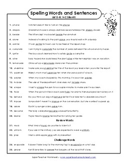 Spelling Test Sentences (D-8) Spelling D Worksheet