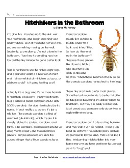 Hitchhikers in the Bathroom Free 5th Grade Reading Comprehension Worksheet