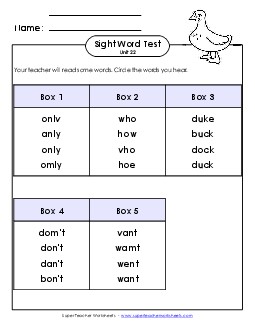 Whole Class Test (Unit 22) Sight Words Worksheet