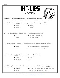 Vocab for Chapters 29-35 Book Holes Worksheet