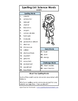 Spelling List  Spelling E Worksheet