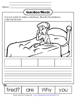 New Cut-Out Sentence: Why Worksheet