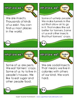 What Are We? Challenge (Ants) Challenges Worksheet