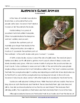 Koala 4th Grade Reading Comprehension Worksheet