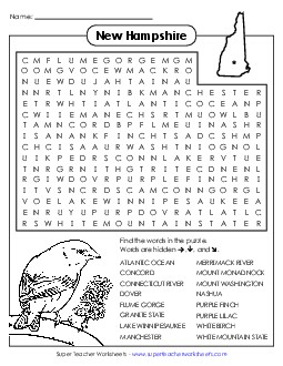 Word Search Puzzle States Individual Worksheet