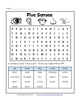 Five Senses Free Worksheet