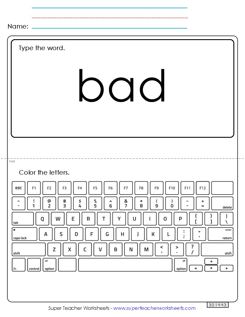 Type the Word: Bad Sight Words Individual Worksheet