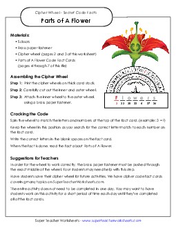 Cipher Wheel: Decode the Facts (Flower Parts) Plants Worksheet