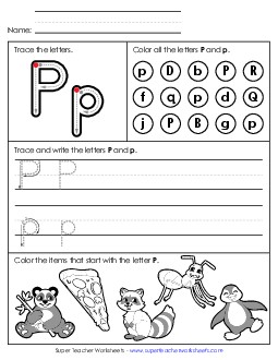 Tracing, Writing, and Recognizing Letter P Alphabet Worksheet