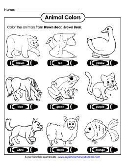 Brown Bear Animal Coloring Picture Book Brown Bear Worksheet