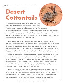 Desert Cottontails 4th Grade Reading Comprehension Worksheet