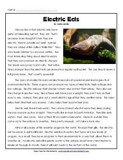 Electric Eels 4th Grade Reading Comprehension Worksheet