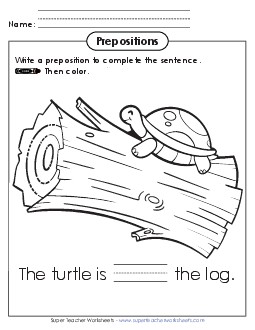 New Fill in the Blank and Color: Turtle Worksheet