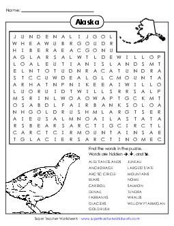 Word Search Puzzle States Individual Worksheet