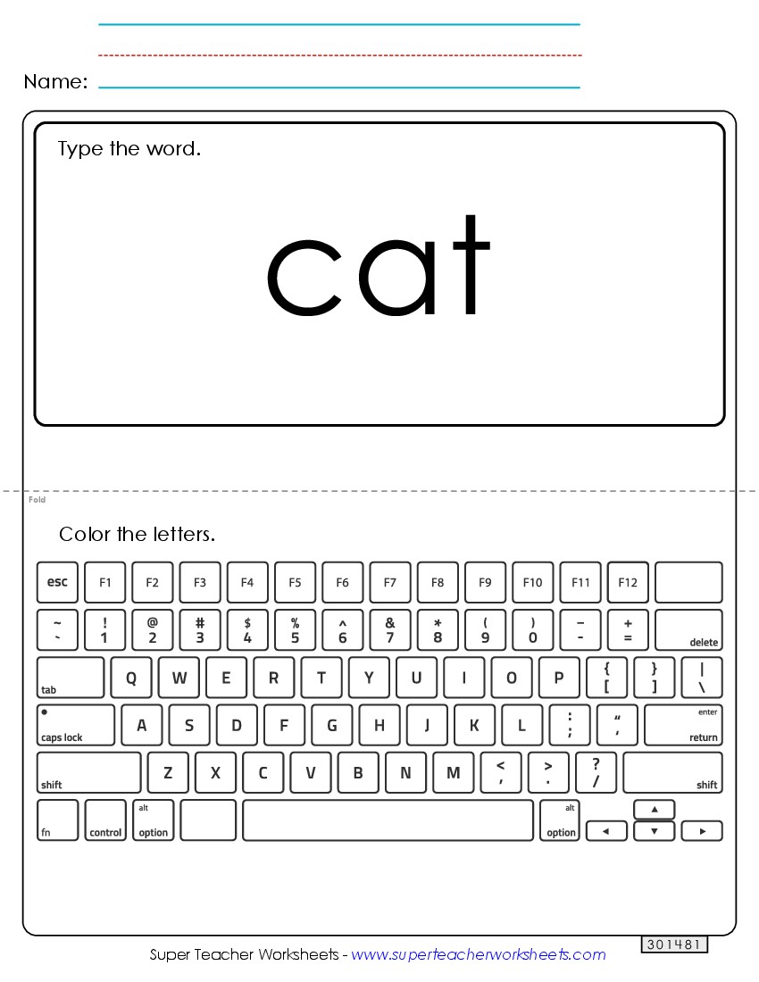 Type the Word: Cat Sight Words Individual Worksheet