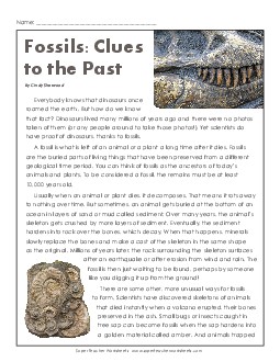 Fossils: Clues to the Past 6th Grade Reading Comprehension Worksheet