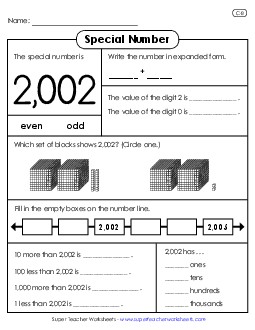 Special Number: 2,003 Worksheet