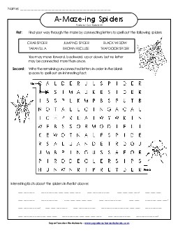 Spider Word Maze A Maze Ing Worksheet