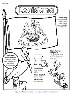 Louisiana State Symbols Coloring Page States Individual Worksheet