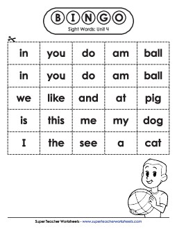 Sight Word Bingo (Unit 4) Sight Words Worksheet