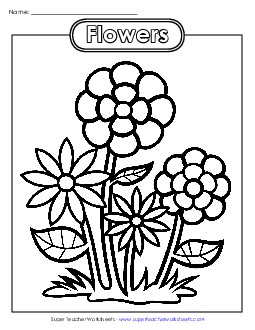 Flower Coloring Page Coloring Pages Worksheet