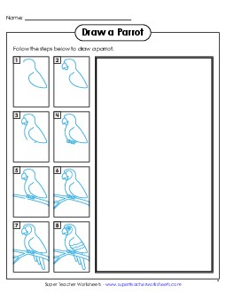 Draw a Parrot Learning To Draw Worksheet