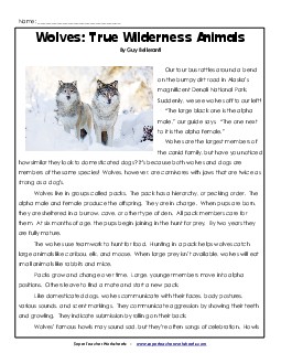 Wolves Reading Comprehension Worksheet