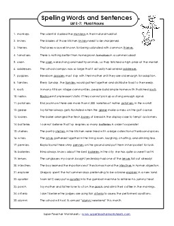 Spelling Sentences (E-7) Spelling E Worksheet