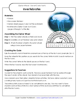 Cipher Wheel Facts: Invertebrates Worksheet