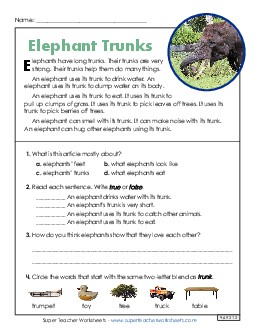 New Elephant Trunks (Short Article) Spanish Worksheet