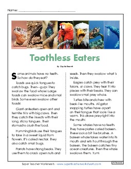 Toothless Eaters - Animal Article 3rd Grade Reading Comprehension 3rd Grade ELA Worksheet