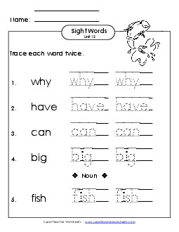 Trace Twice (Unit 12) Sight Words Worksheet