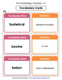 Vocabulary Cards for Chapters 1-3 Book Tuck Everlasting Worksheet